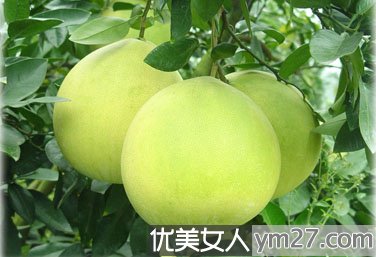������֬���Ӽ��ʷ�Խ��Խ��